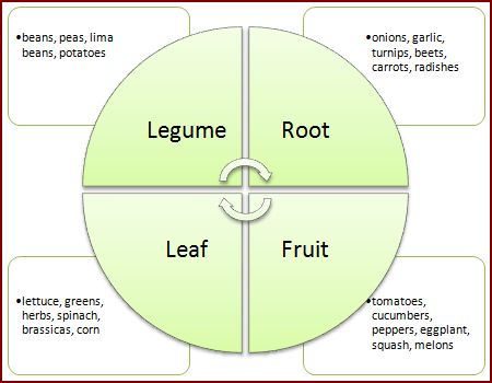 Crop rotation diagram
