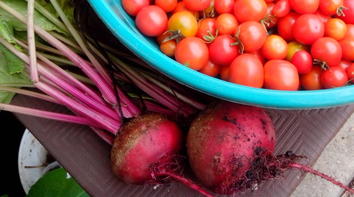 IMG_20140102_100732-beetroot