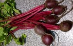 Beetroot