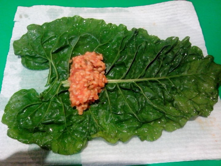 IMG_20151115_202916-Dolmades 1