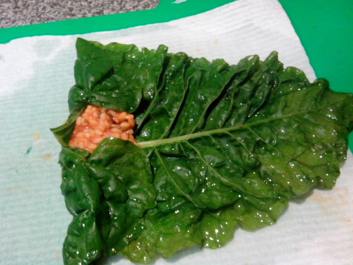 IMG_20151115_202948-Dolmades 2