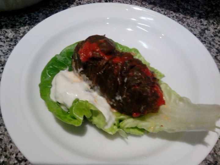 IMG_20151115_213826-Dolmades 4