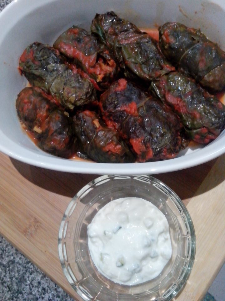 Silverbeet Dolmades and Tzatziki