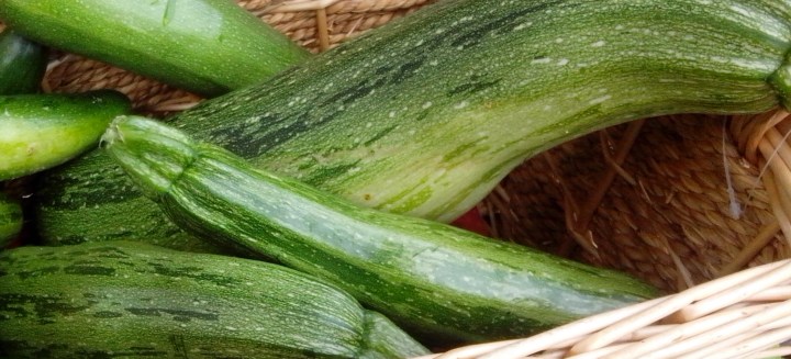 IMG_20140102_100723-large zucchini