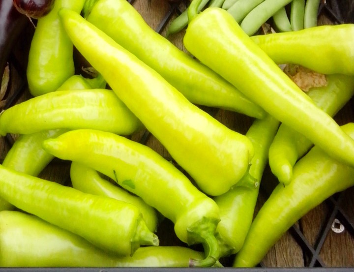 IMG_20141227_093414 (1)-Green Chillis