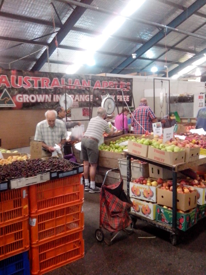 IMG_20151205_074213 (1)-Rod's fruit stall