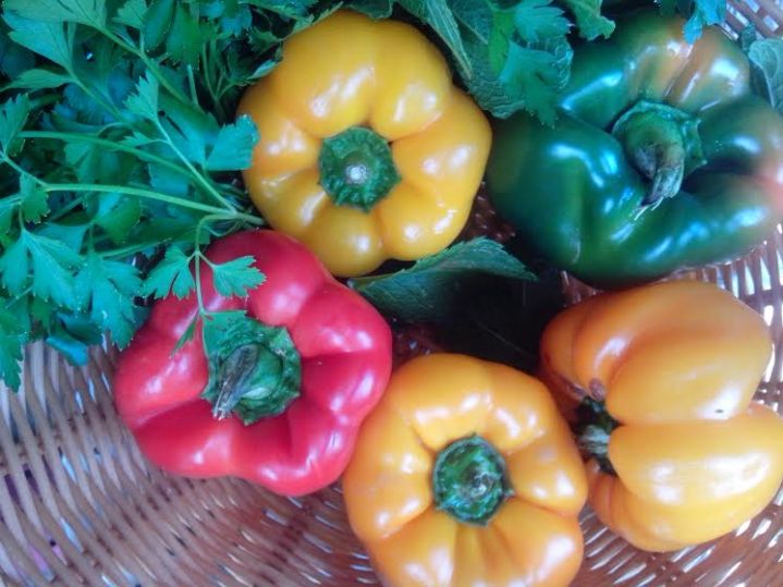 stuffed capsicum ingredients