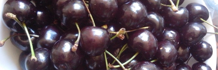 IMG_20151220_110141-dark cherries 2
