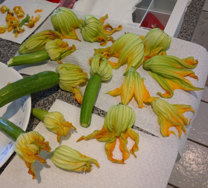 IMG_20160119_172928-prepared flowers.jpg