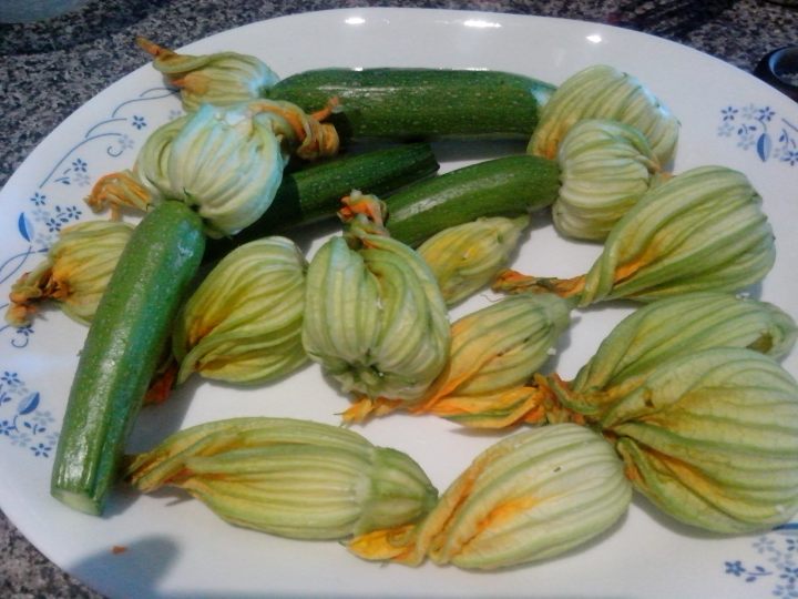 IMG_20160119_174545-stuffed zucchini flowers filled