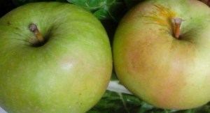 IMG_20160104_120109 (1)-Apples