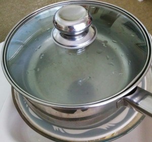 IMG_20160313_114023-eggplant pickles weighed down