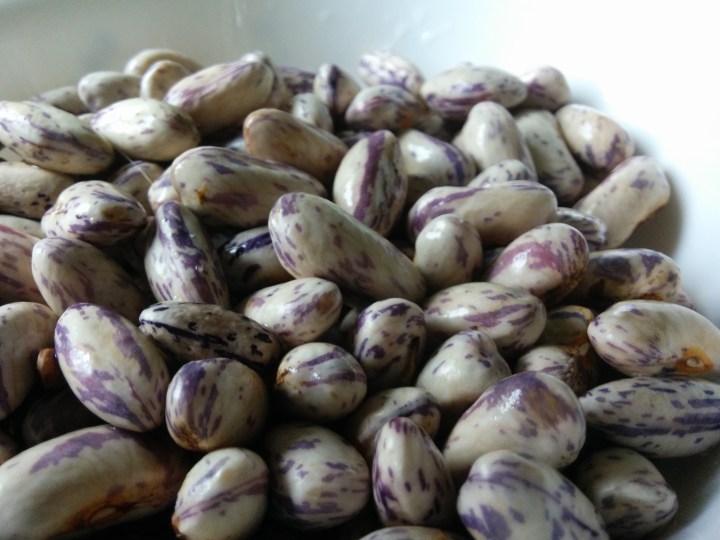IMG_20160329_114034-borlotti beans