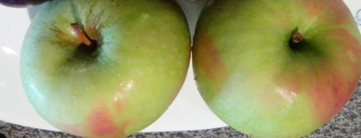 IMG_20151225_121632 (1)-granny smith apples