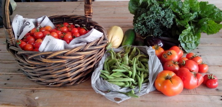 IMG_20160102_120437-vegetable harvest