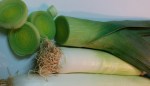 IMG_20160501_205505-leeks 2