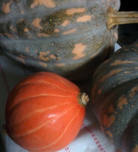 IMG_20160515_104904-Autumn pumpkins