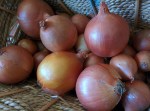 IMG_20160612_115153-brown onions
