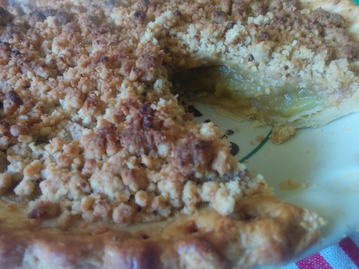 IMG_20160614_131612-Choko and apple pie cut