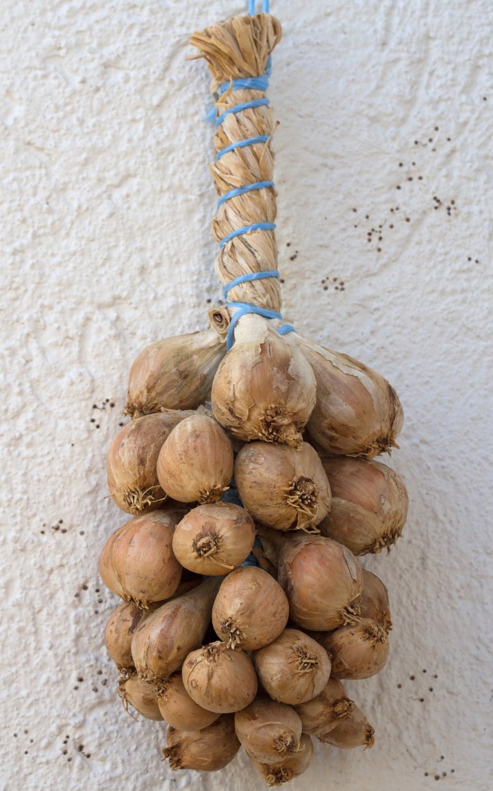 onion-1066239_1920-onion plait