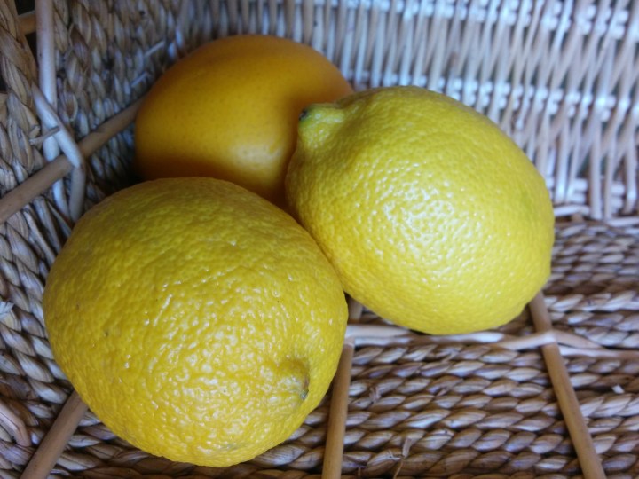 IMG_20160511_105754 (1)-Lemons
