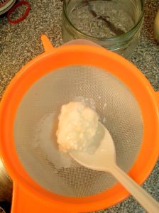 IMG_20151010_142453-Kefir grain 2