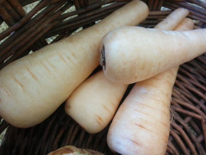 IMG_20160728_122203-Parsnips