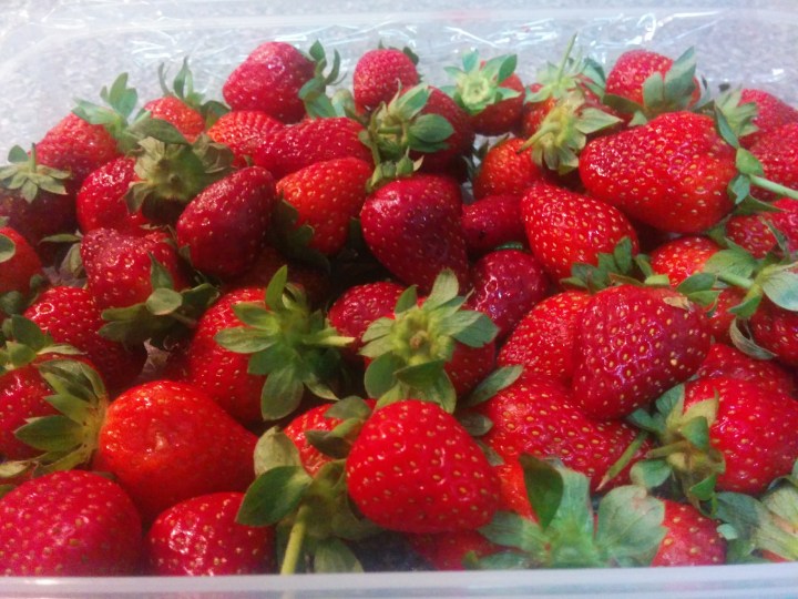 img_20160919_224337-strawberry-4