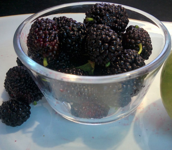 img_20161014_142737-mulberries-2