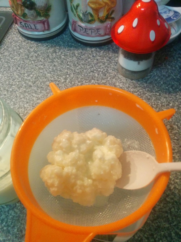 img_20161110_222302-kefir-grain-in-spoon-3