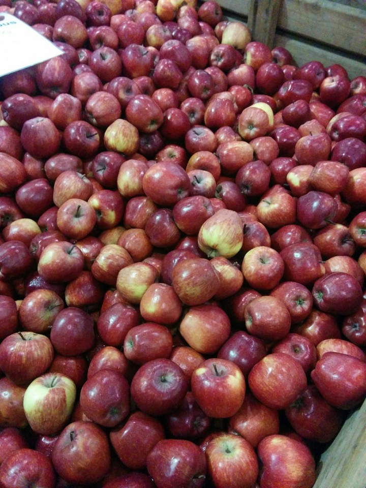 img_20161203_074838-apples-from-orange-10