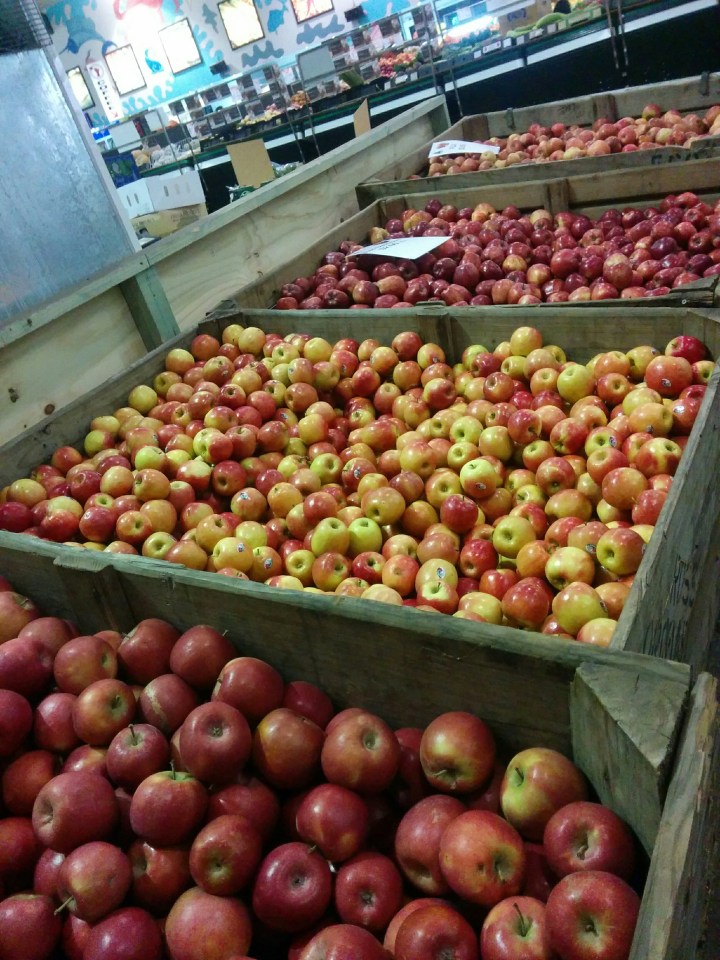 img_20161203_074926-apples-from-orange-9