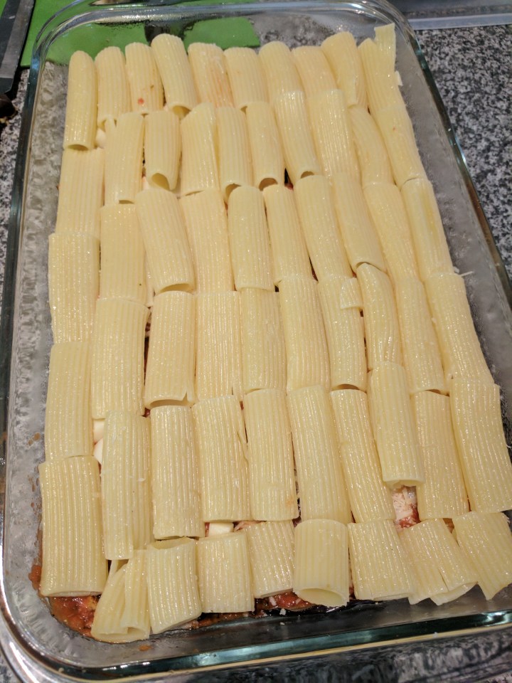 IMG_20170328_114919-Eggplant parmigiana 3