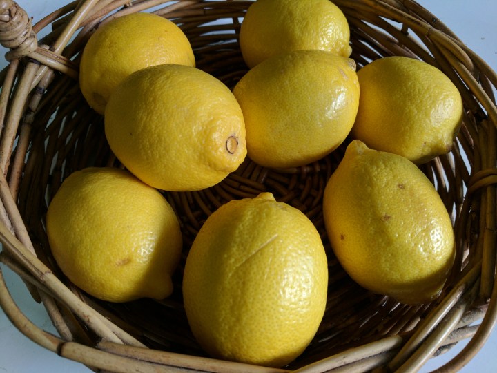 IMG_20170410_162635-Lemons