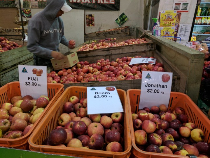 IMG_20170520_072717 -Apple Bins 2