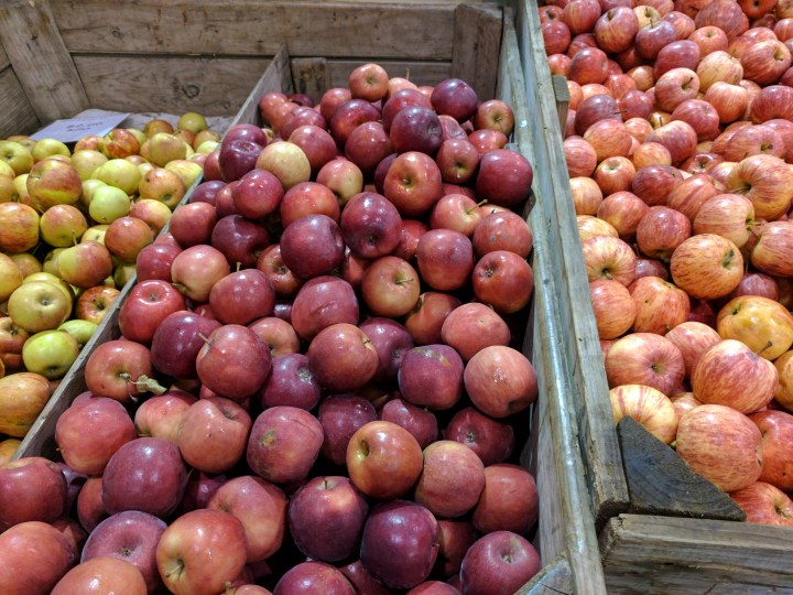 IMG_20170520_072744-Apples in bins