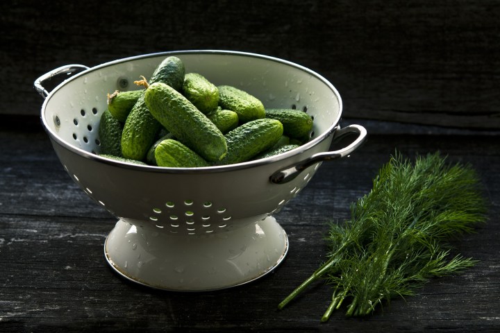 cucumbers in colander-1840300_1920