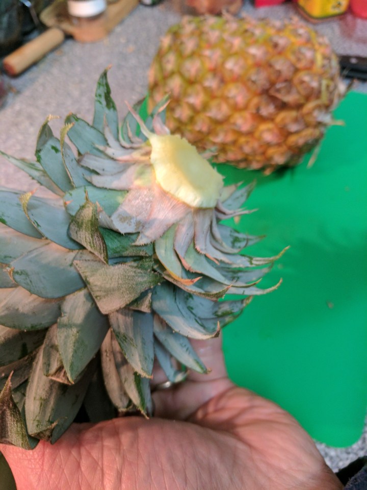 IMG_20170718_201207-Pineapple preparing 3