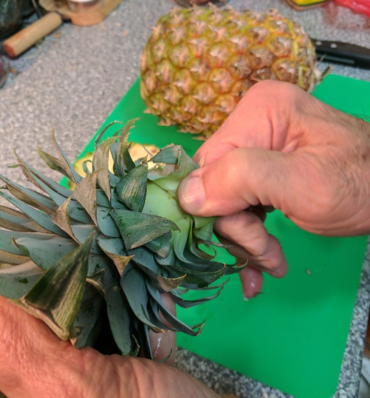 IMG_20170718_201213-Pineapple prepared 4