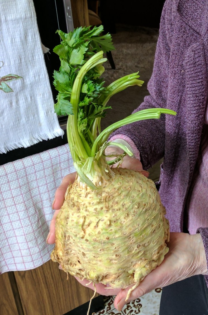 IMG_20170622_121128-celeriac 2