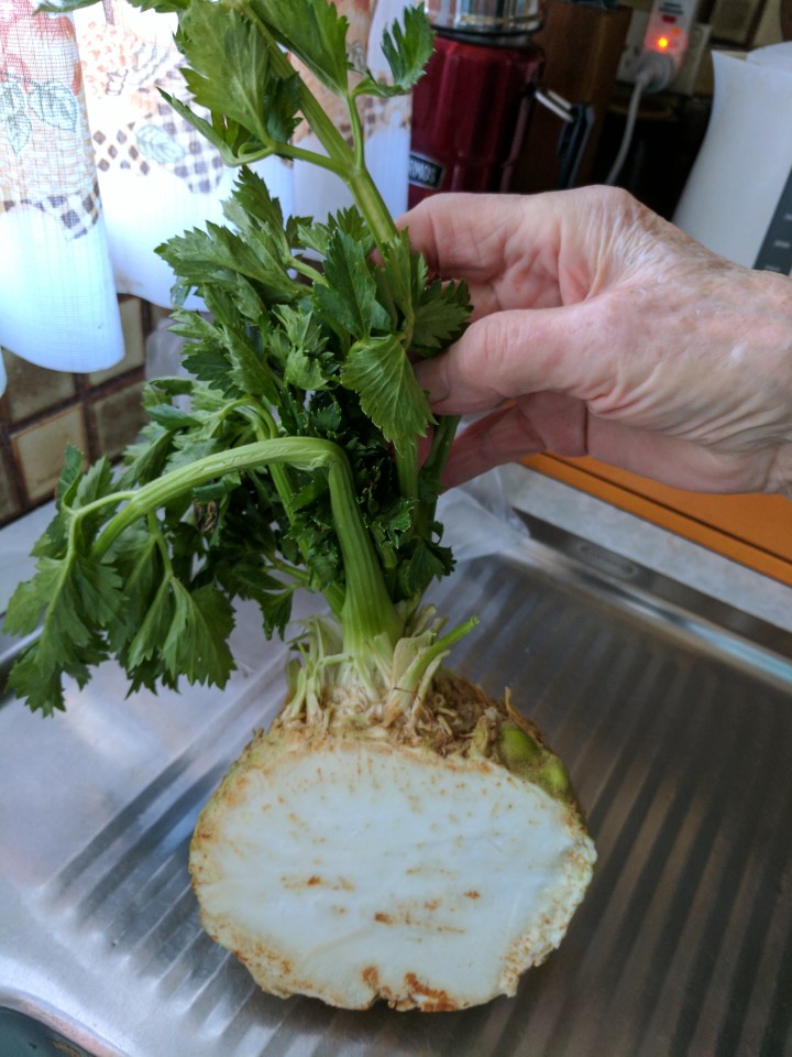 IMG_20170811_094323-Celriac 4