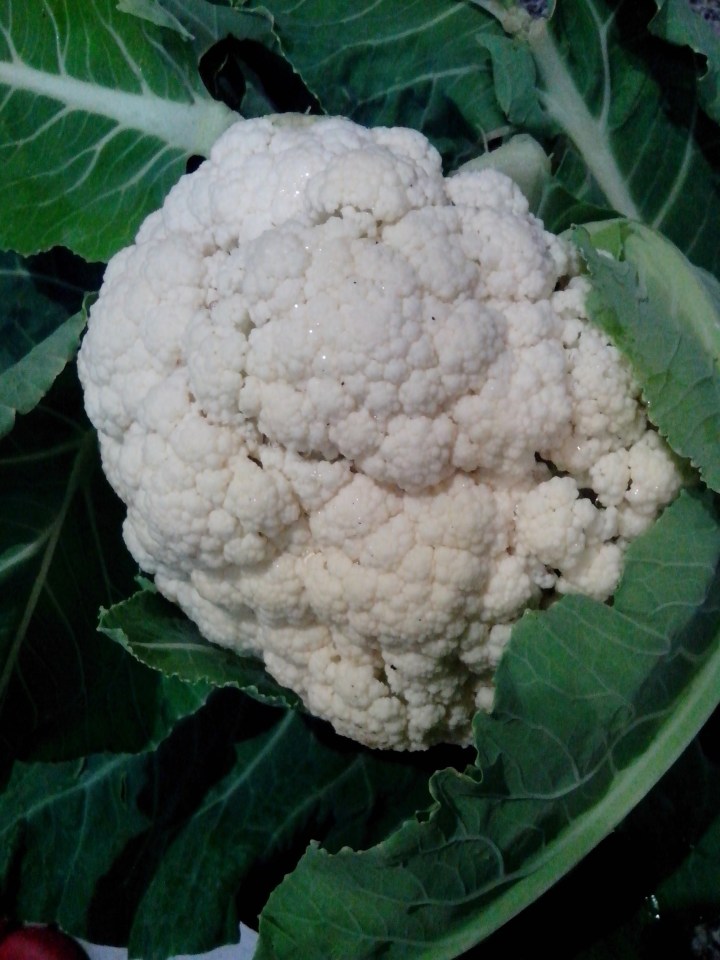 IMG_20140816_165127-Cauliflower