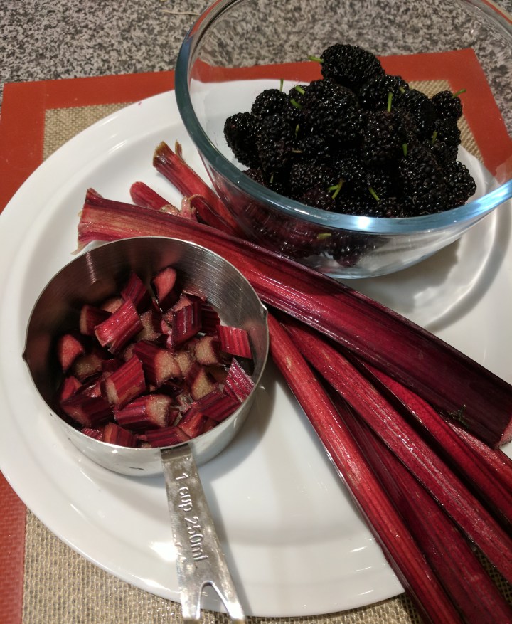 IMG_20171014_200645-Mulberries and rhubarb