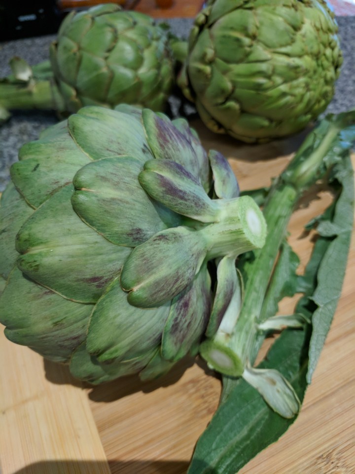 IMG_20171021_123008-Artichoke 6