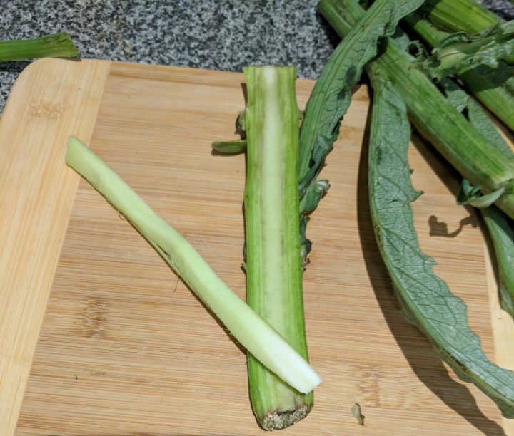 IMG_20171021_123710-Artichoke stems