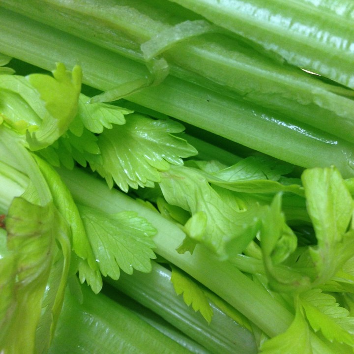 celery-383753_1920