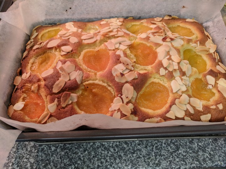 IMG_20180104_112131-Apricot cake3