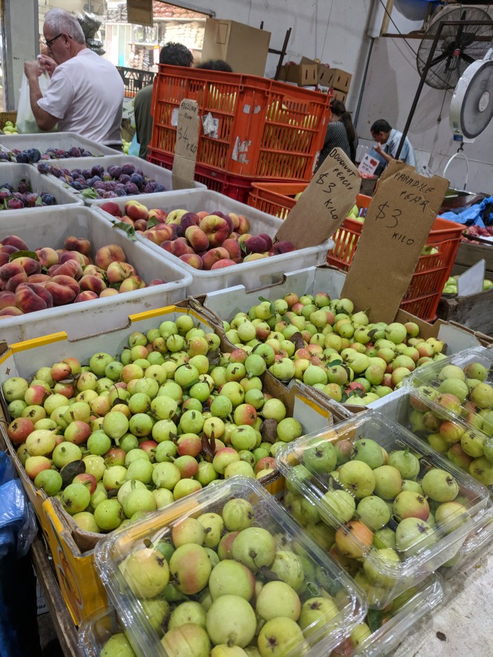 IMG_20180210_075809-Fruit 4