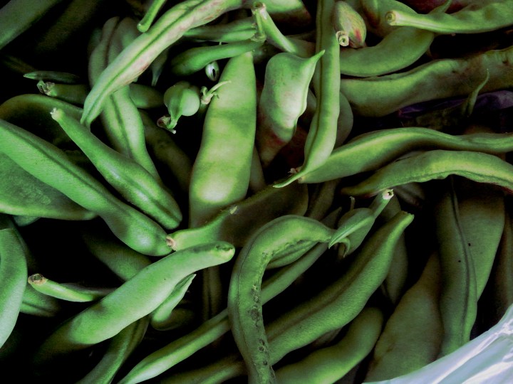 IMG_20160102_120506-Green Beans