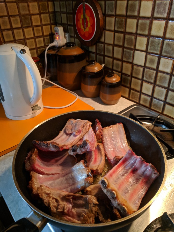 IMG_20180412_084829-Ribs in sauce 6